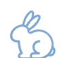 Sem testes em animais